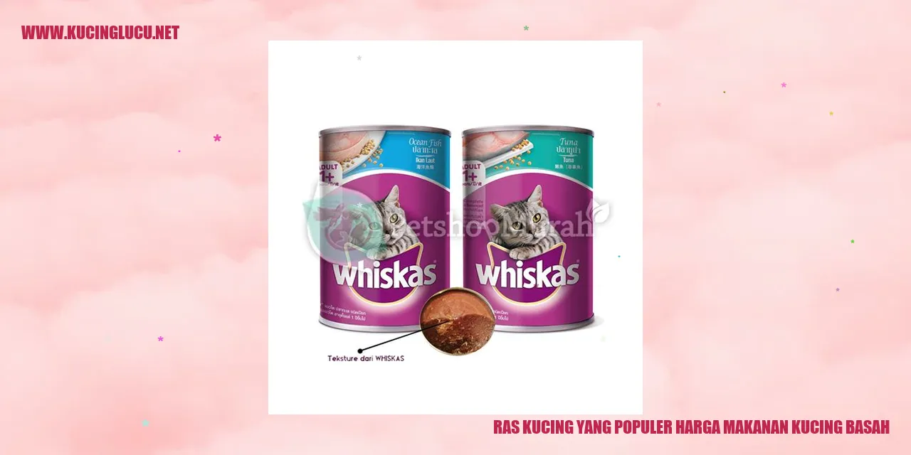 Gambar Kucing