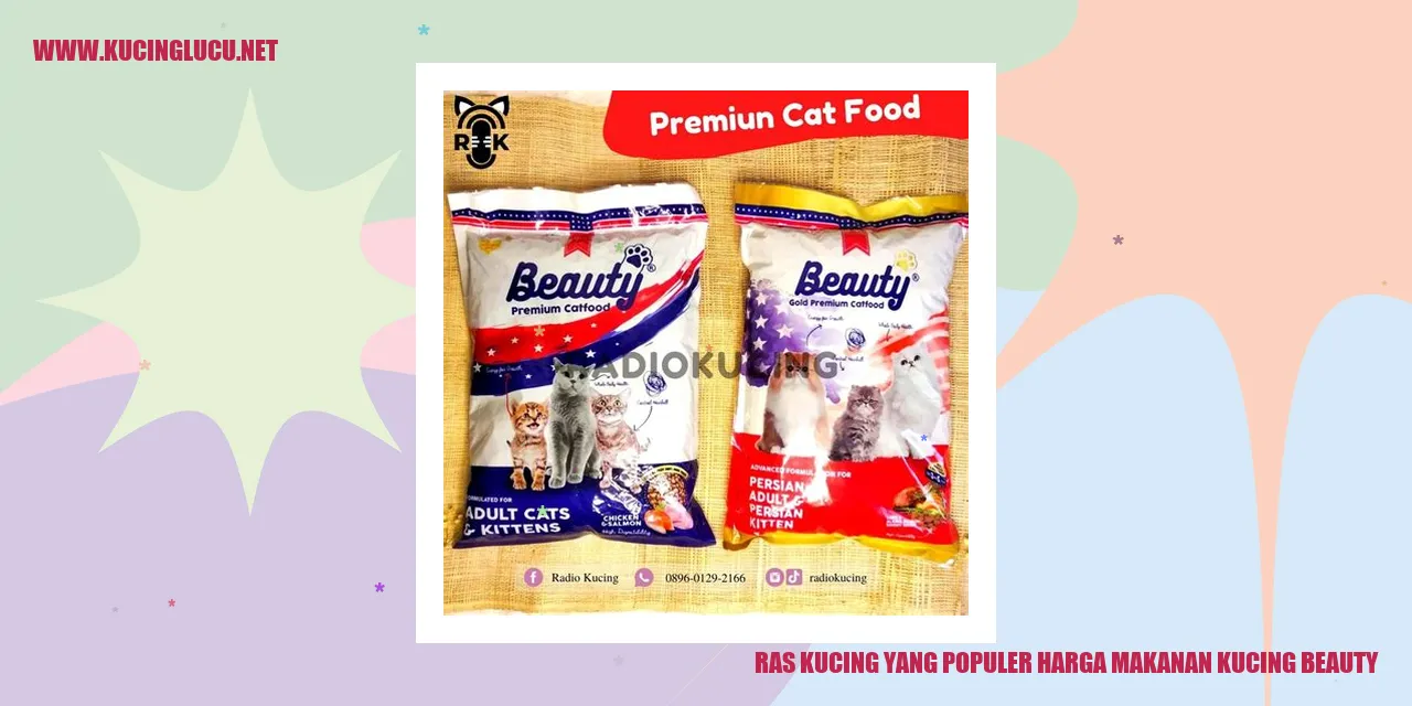 Kucing Beauty