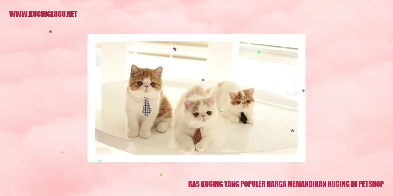 Ragam Kucing yang Terkenal serta Tarif untuk Memandikan Kucing di Petshop