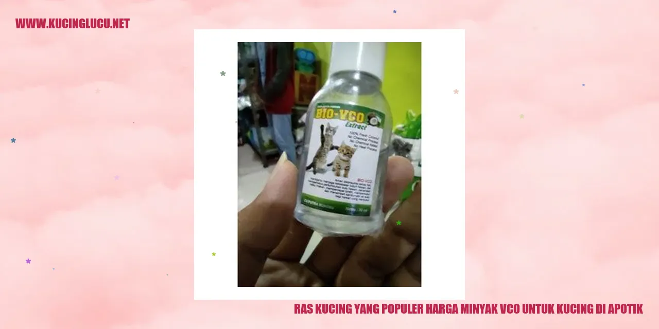 Gambar Kucing yang Populer