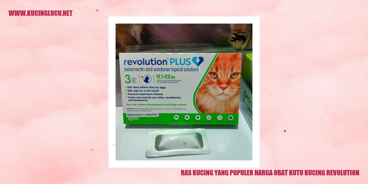 kucing