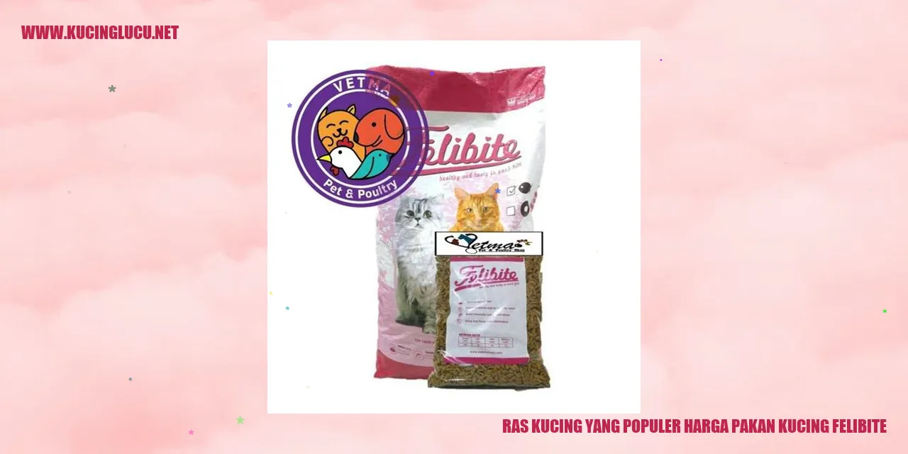 Kucing yang Populer