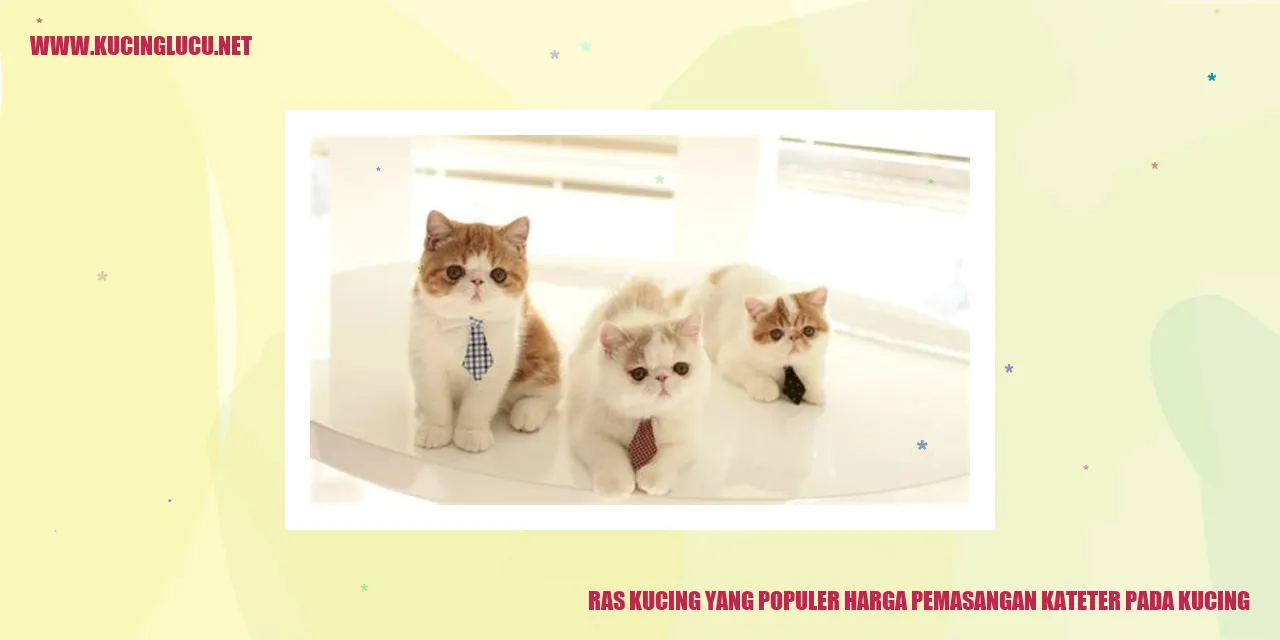 Ras Kucing yang Populer