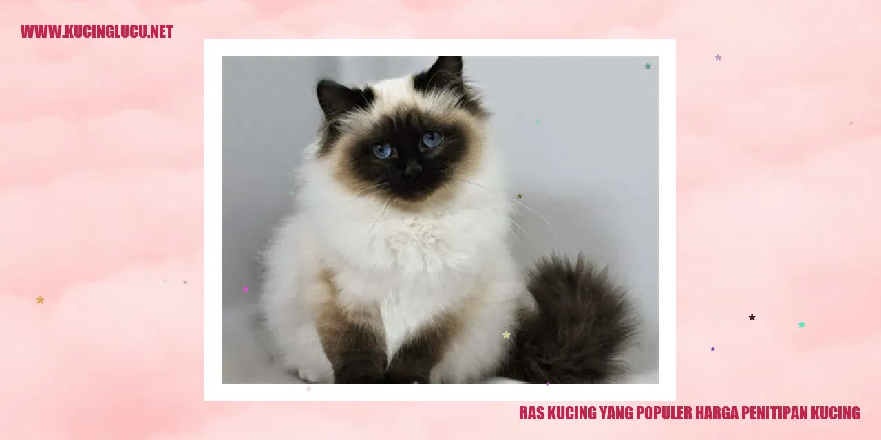Ras Kucing yang Populer