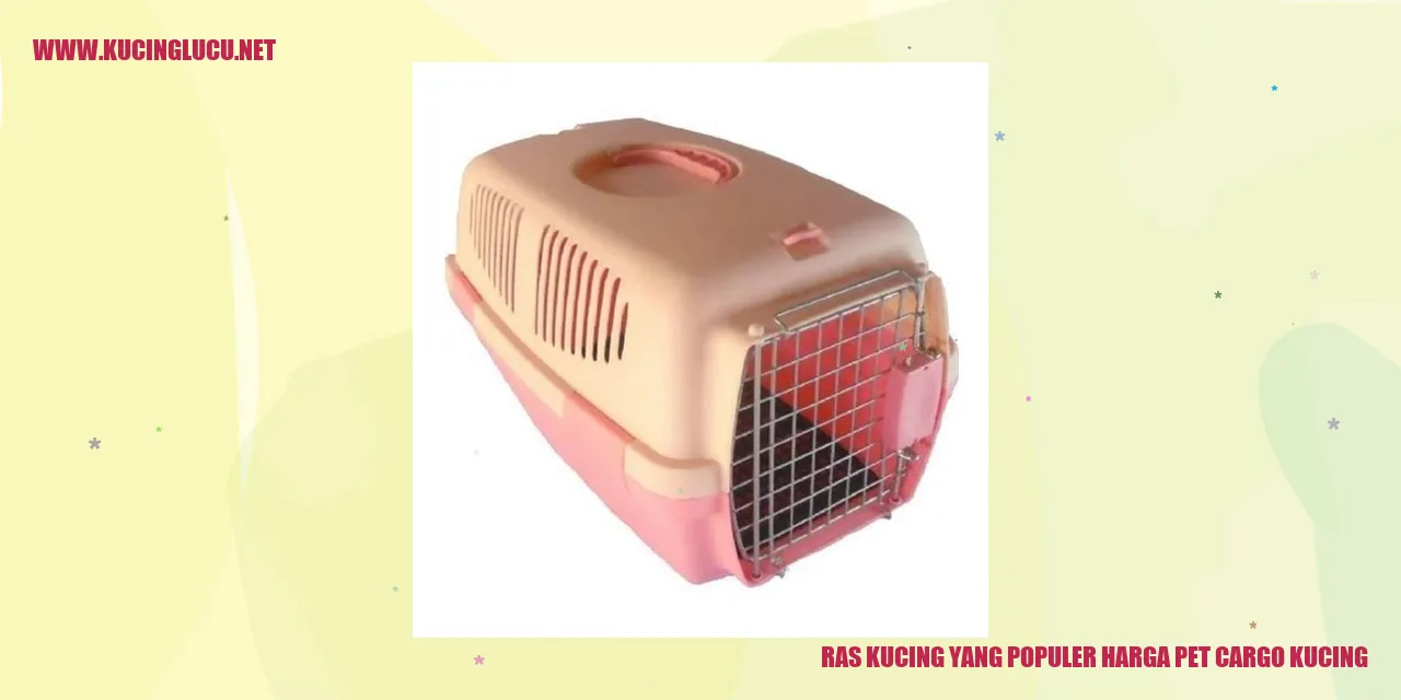 Gambar Ras Kucing yang Populer