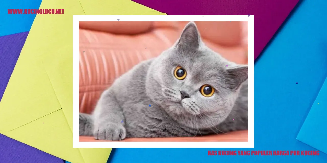 Kucing yang Terkenal dengan Harga Tinggi