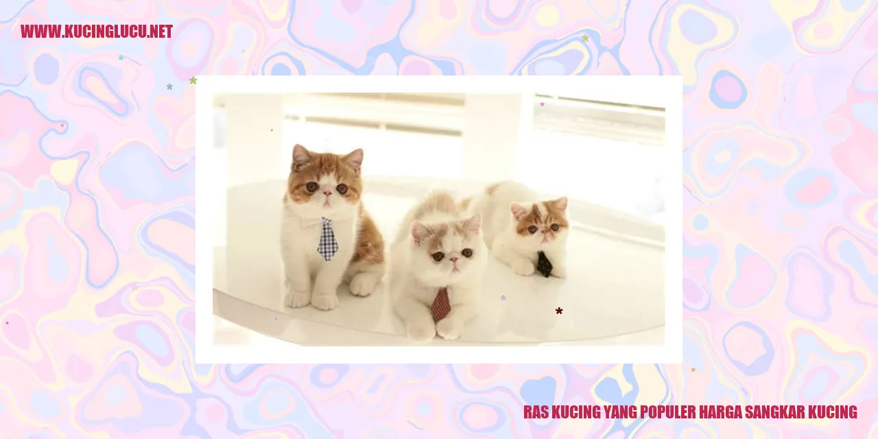 Ras Kucing yang Populer harga sangkar kucing