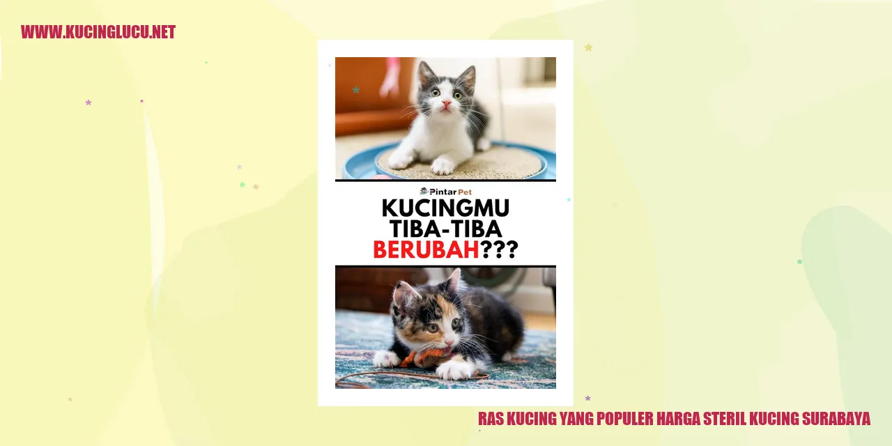Ras Kucing yang Populer