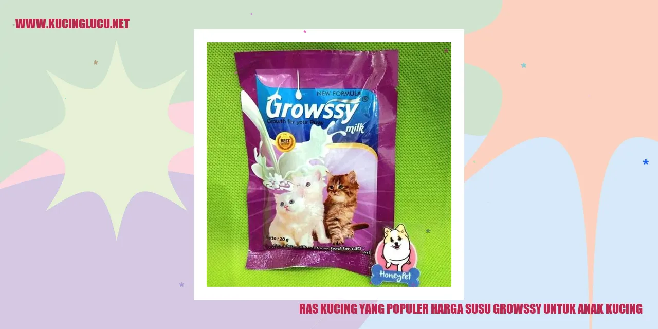 Kucing Lucu