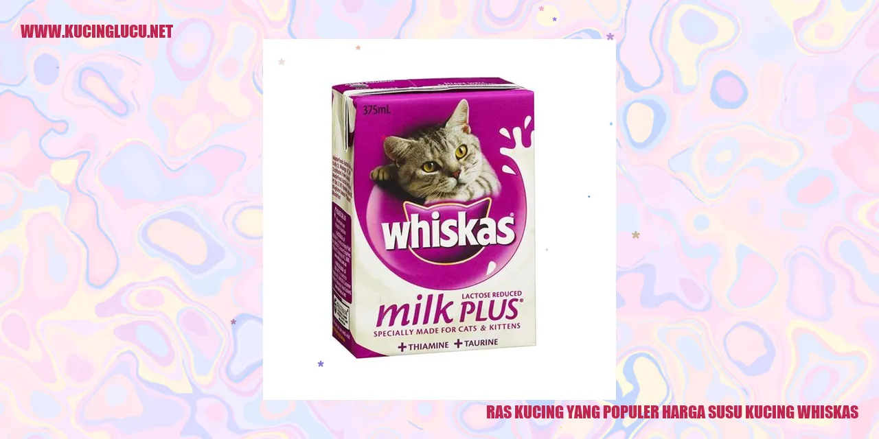 Sekelompok kucing menggemaskan