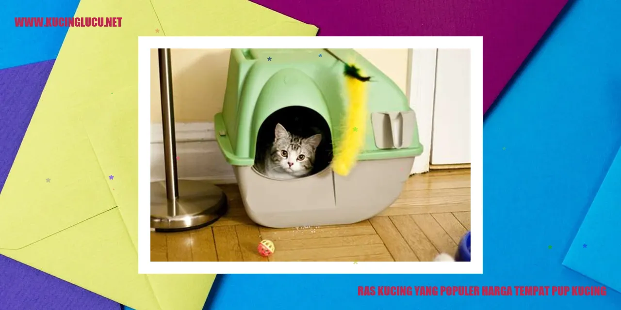 Ras Kucing yang Populer dan Harga Tempat Pup Kucing