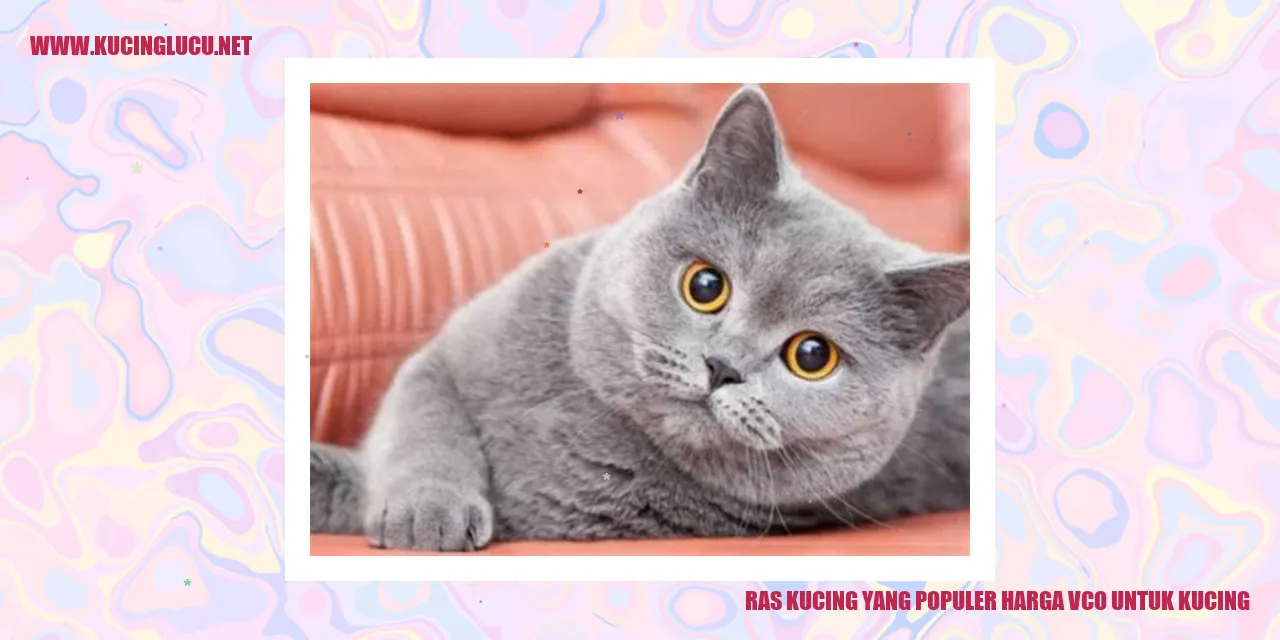 Ras Kucing yang Terkenal dan Khasiat VCO untuk Binatang Kesayangan