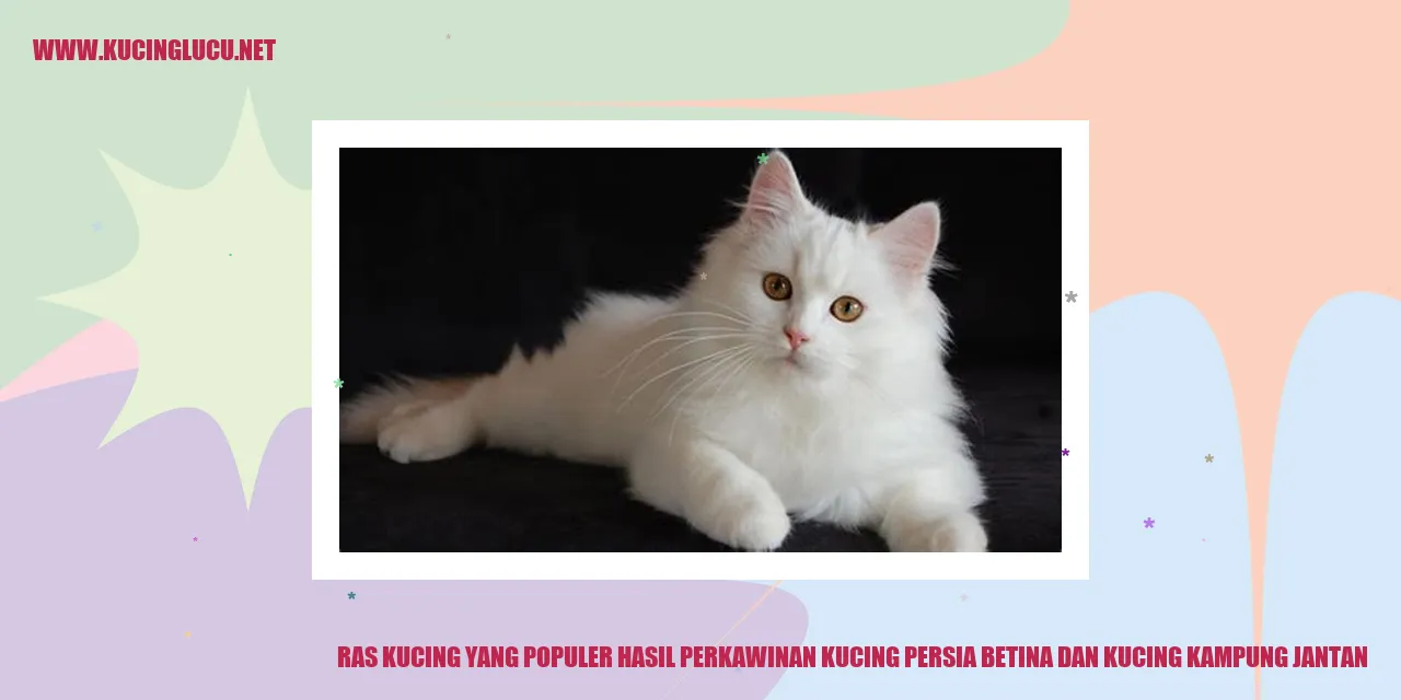 Kucing Ras Populer
