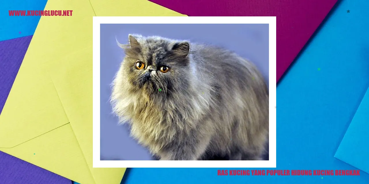 Foto Kucing dengan Hidung Bengkak
