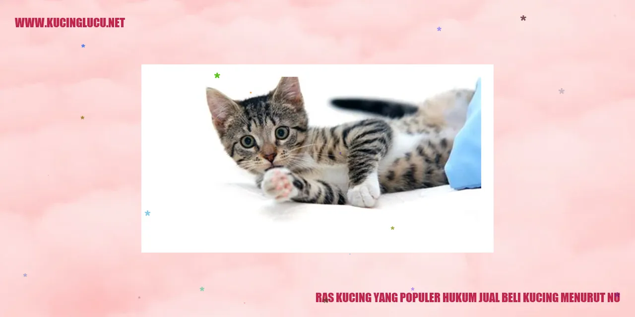 Gambar Kucing Ras yang Populer