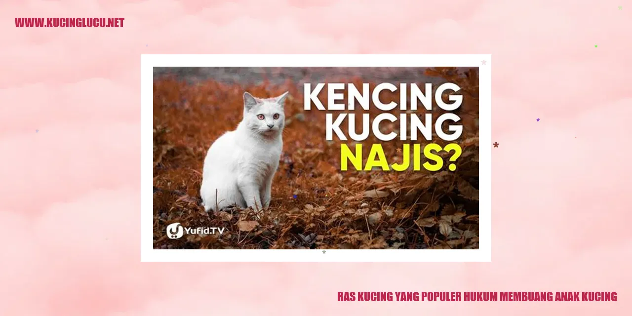Ras Kucing yang Populer hukum membuang anak kucing