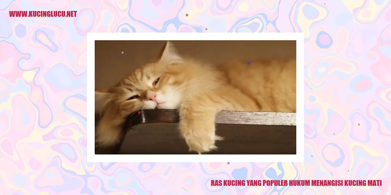 Kucing yang Mati