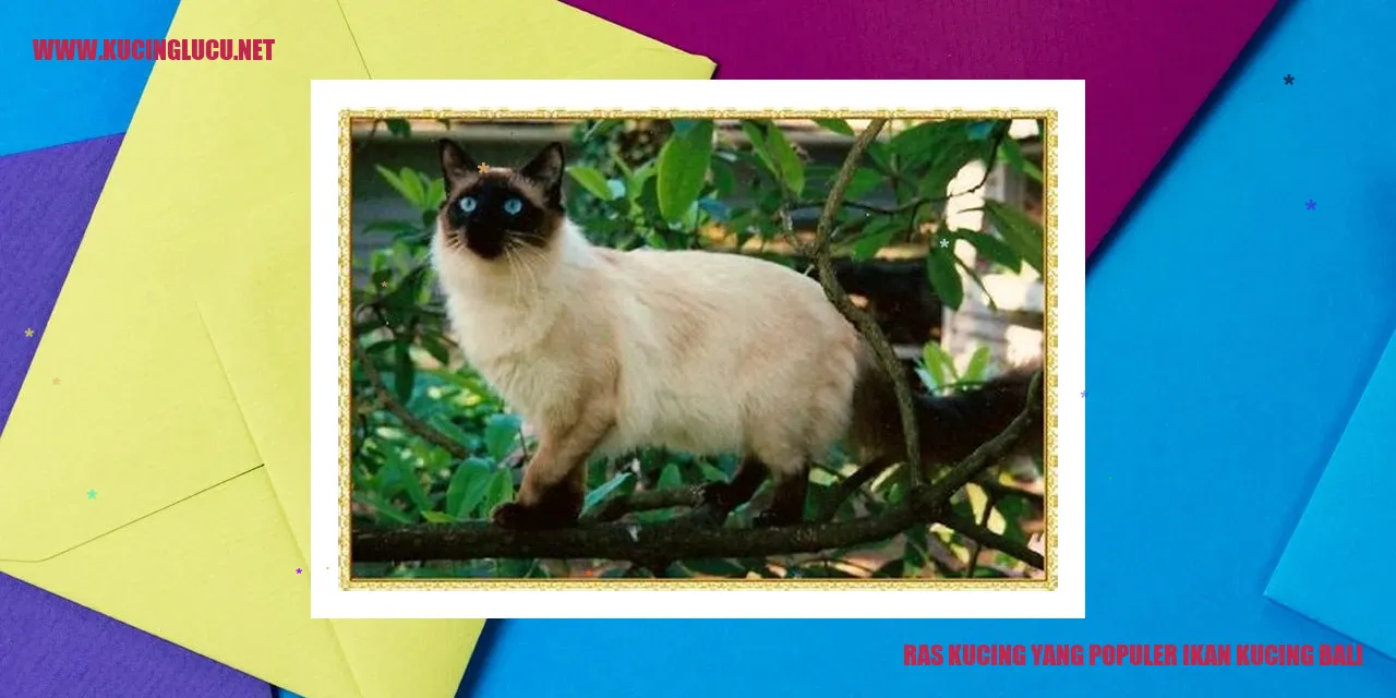 Ikan Kucing Bali