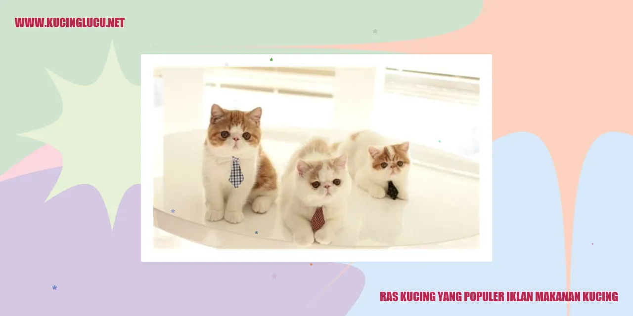 Kucing