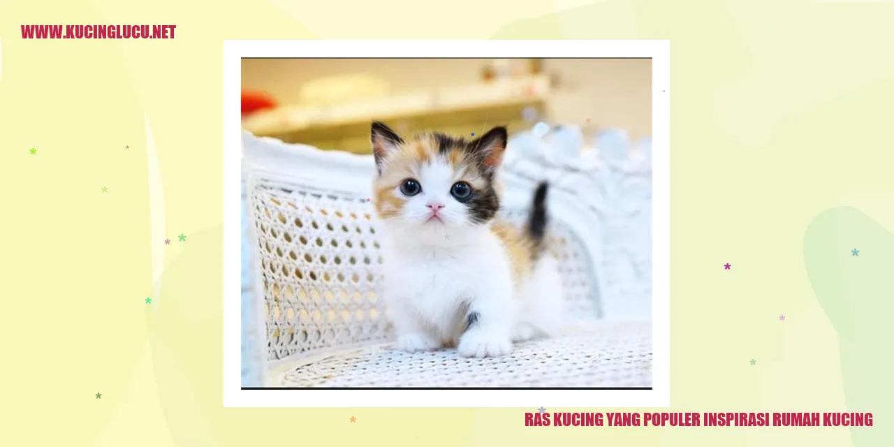 Gambar Ras Kucing
