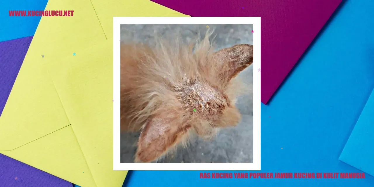 Ras Kucing yang Populer dan Jamur pada Kulit Manusia