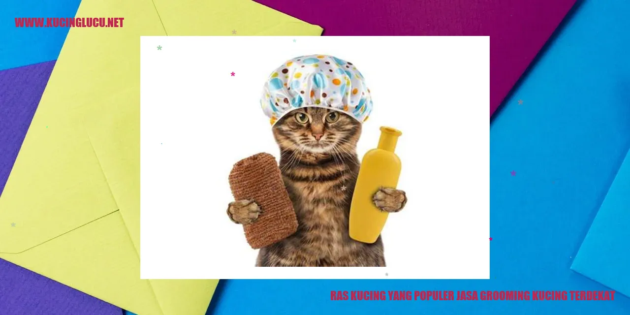 Ragam Kucing Populer yang Mengandalkan Layanan Grooming Terdekat