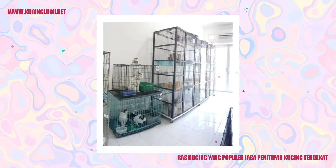 Ras Kucing yang Populer jasa penitipan kucing terdekat