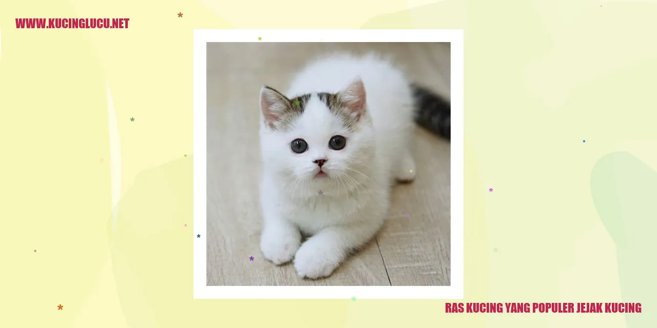 Ras Kucing yang Populer jejak kucing