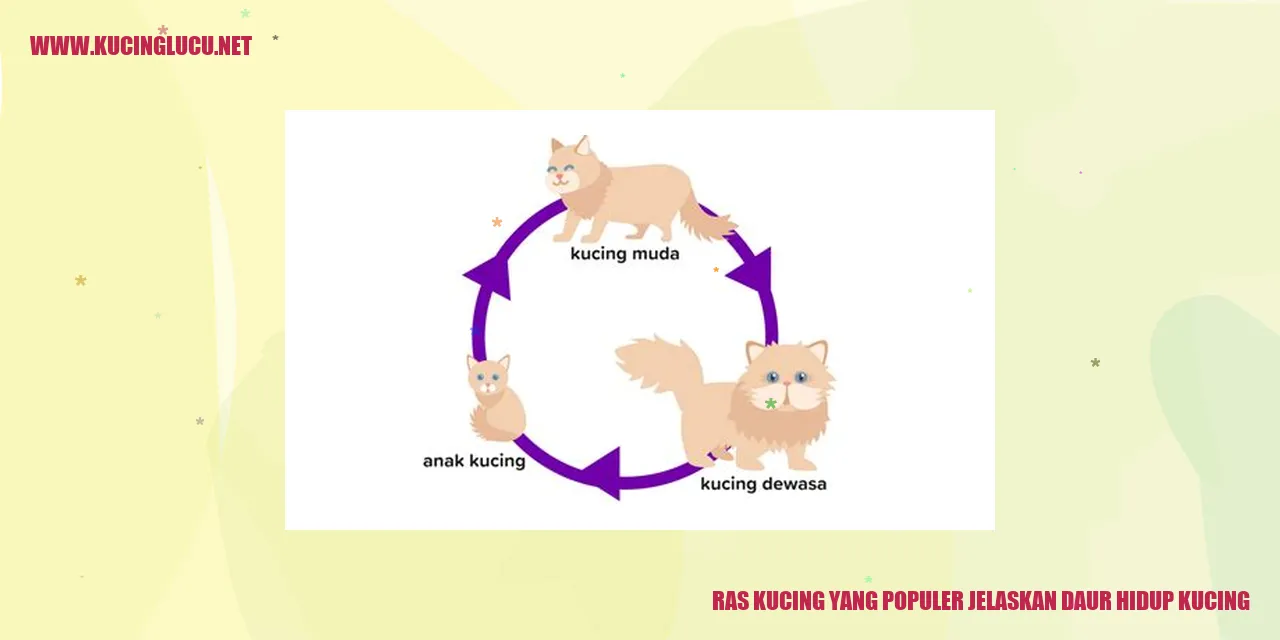 Ras Kucing yang Populer jelaskan daur hidup kucing