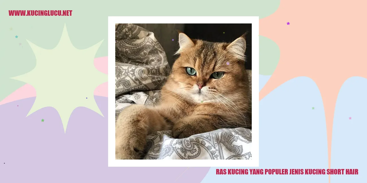 Kucing Rambut Pendek