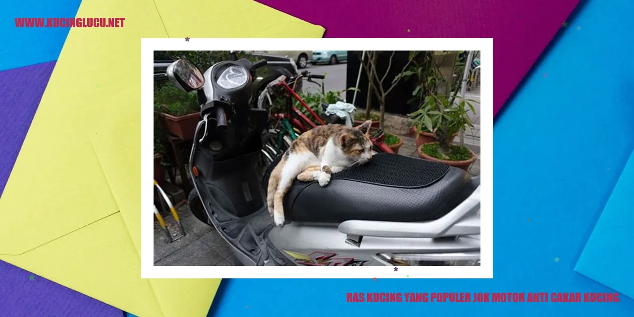 Gambar ras kucing yang terkenal dengan jok motor anti cakar kucing