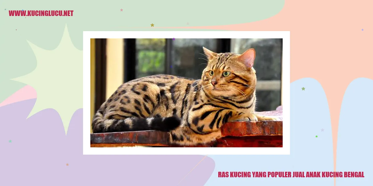 Kucing Bengal