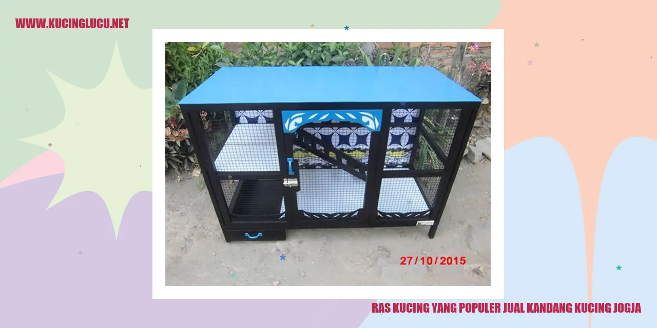 Ras Kucing yang Populer jual kandang kucing jogja