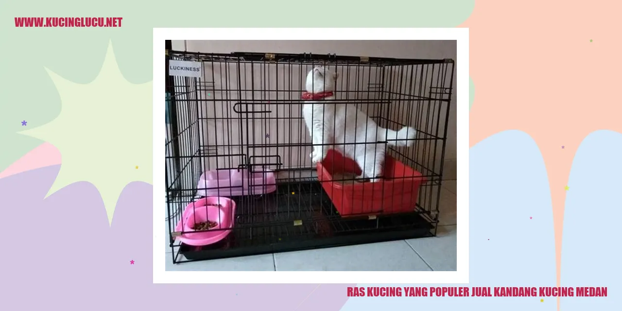 Seekor Kucing yang Menghuni Kandang