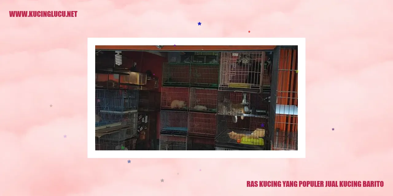 Kucing Barito yang Memikat Hati