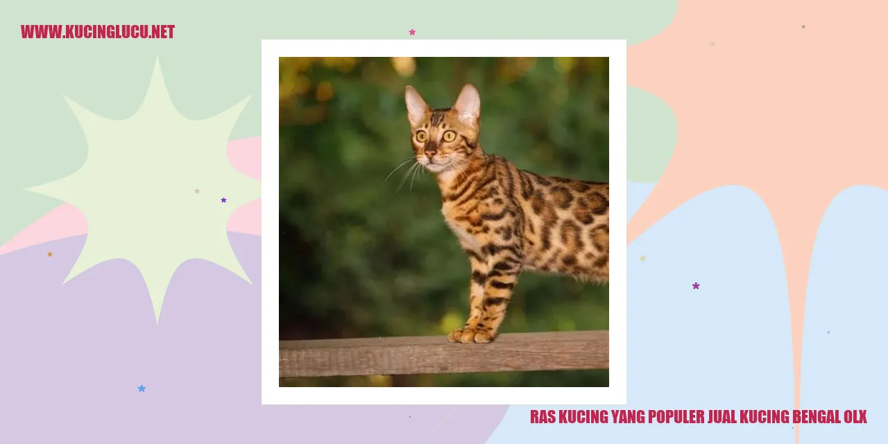 Kucing Bengal