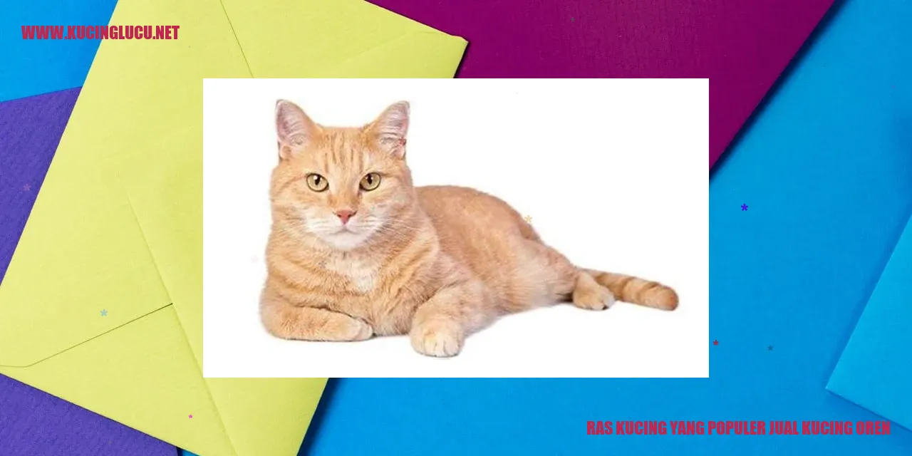 Keindahan Kucing Oren