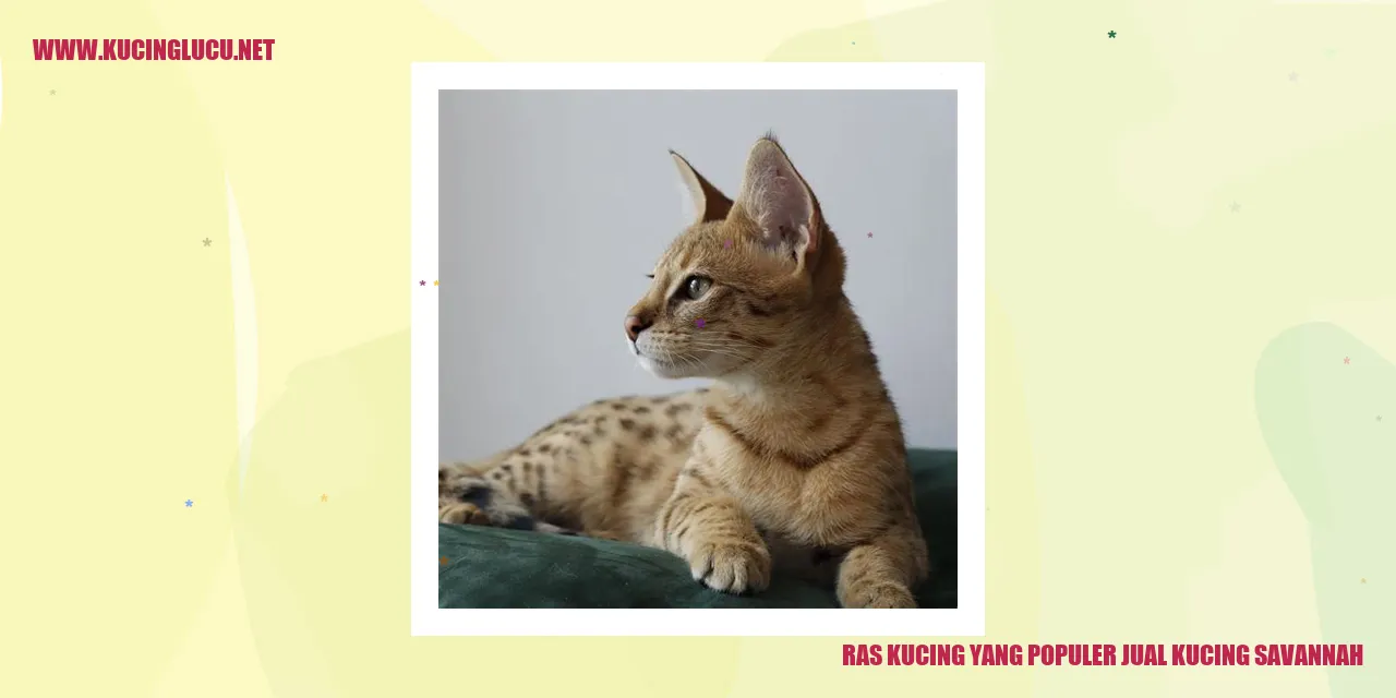 Kucing Savannah: Eksotis dan Menawan