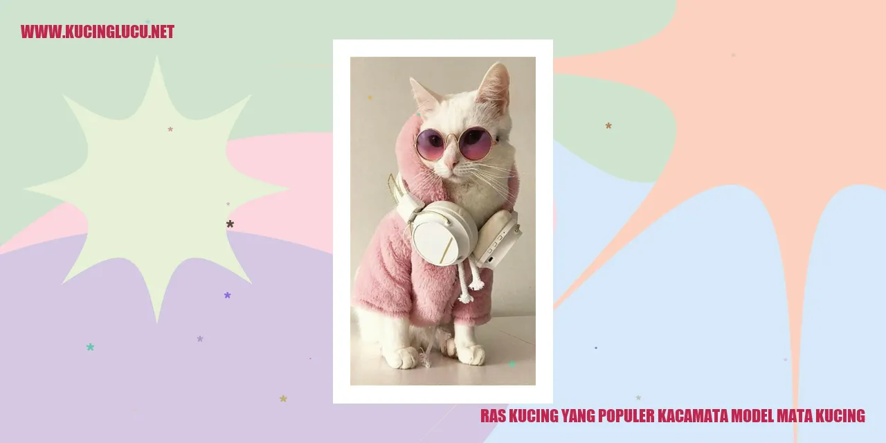 Kucing dengan gaya kacamata mata kucing