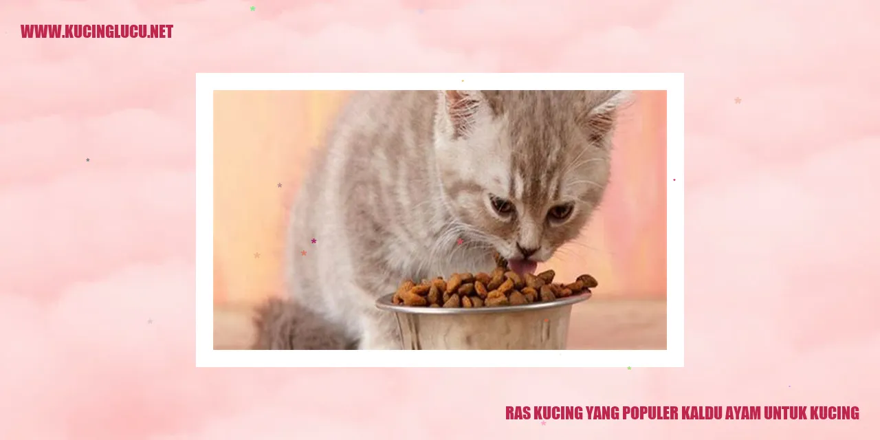 Ras Kucing yang Populer kaldu ayam untuk kucing