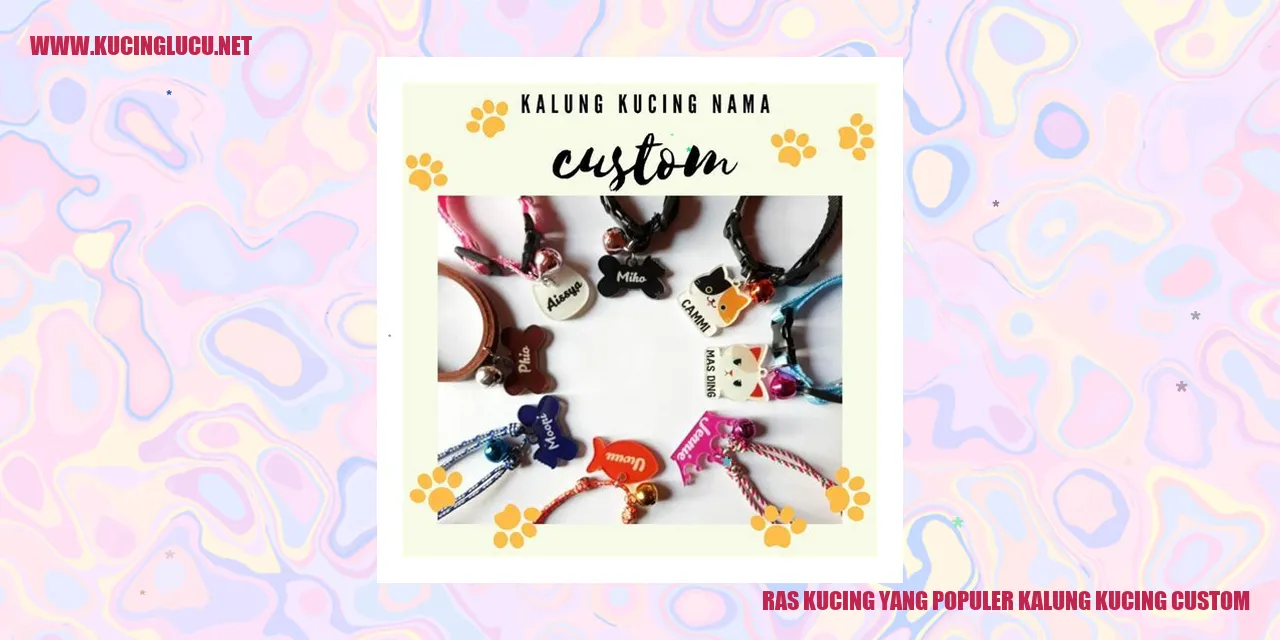 Ras Kucing yang Populer kalung kucing custom