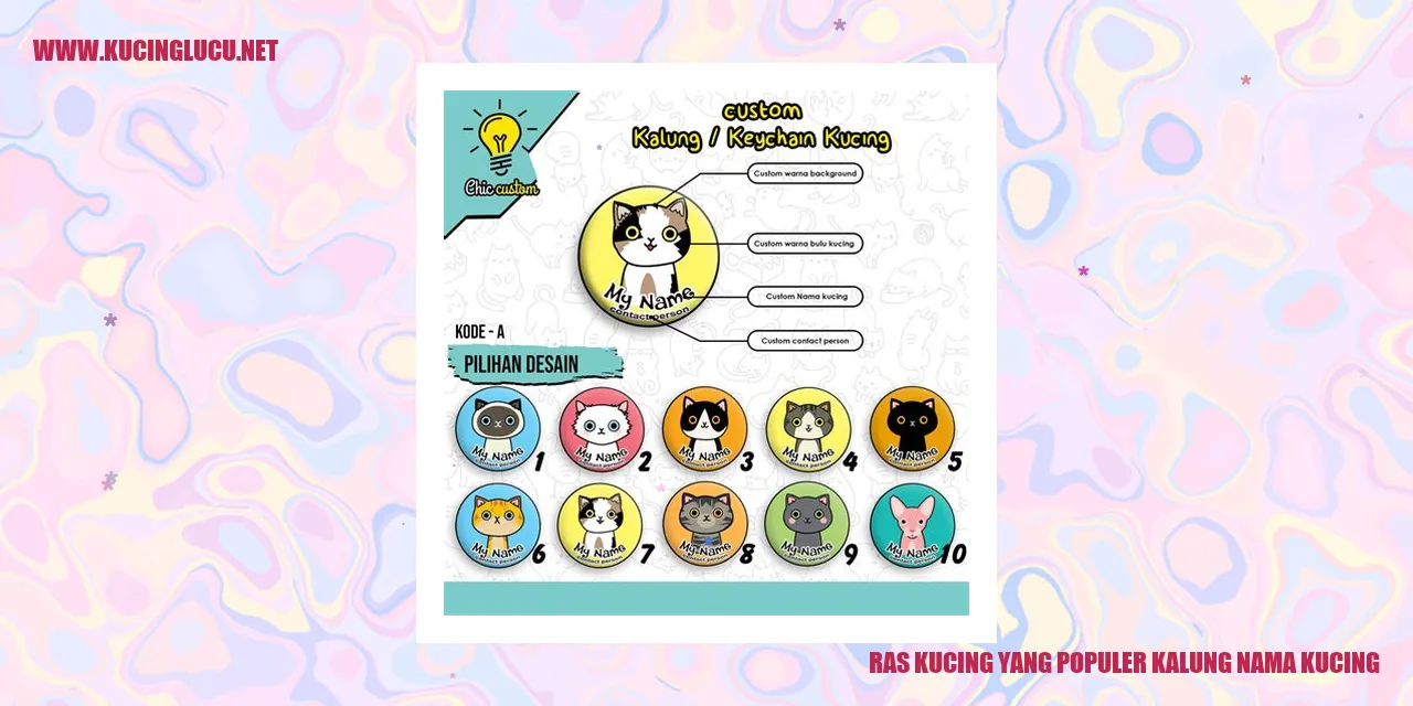 Kucing Berkalung Nama