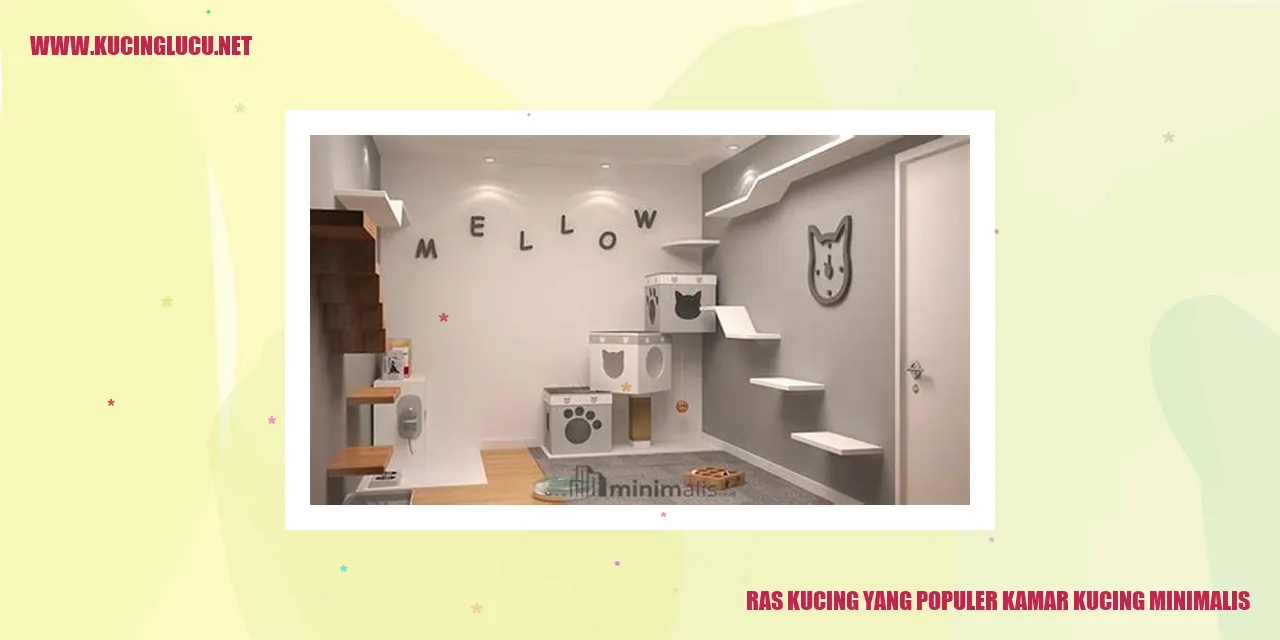 Ras Kucing yang Terkenal untuk Ruang Kucing Minimalis