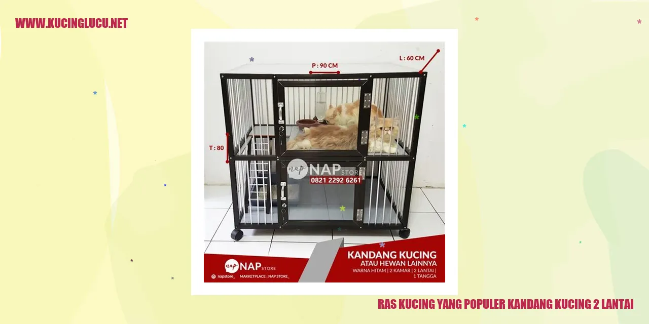 gambar kucing di kandang 2 lantai