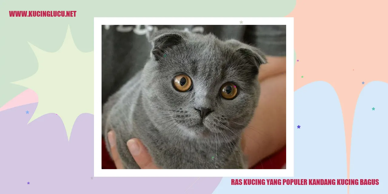 Ras Kucing yang Populer