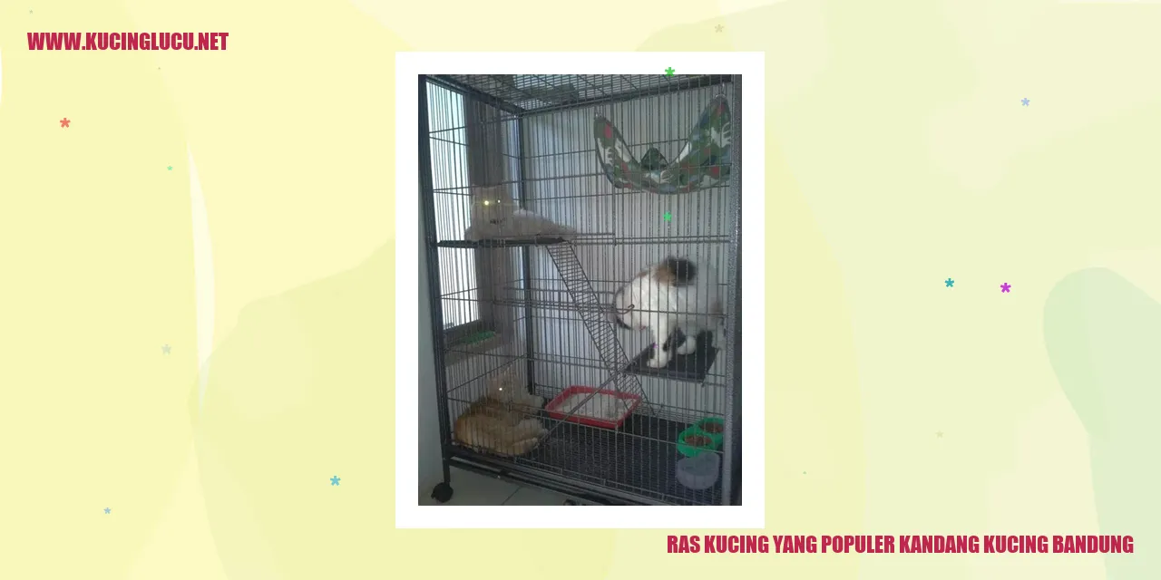 Ras Kucing yang Populer di Kandang Kucing Bandung