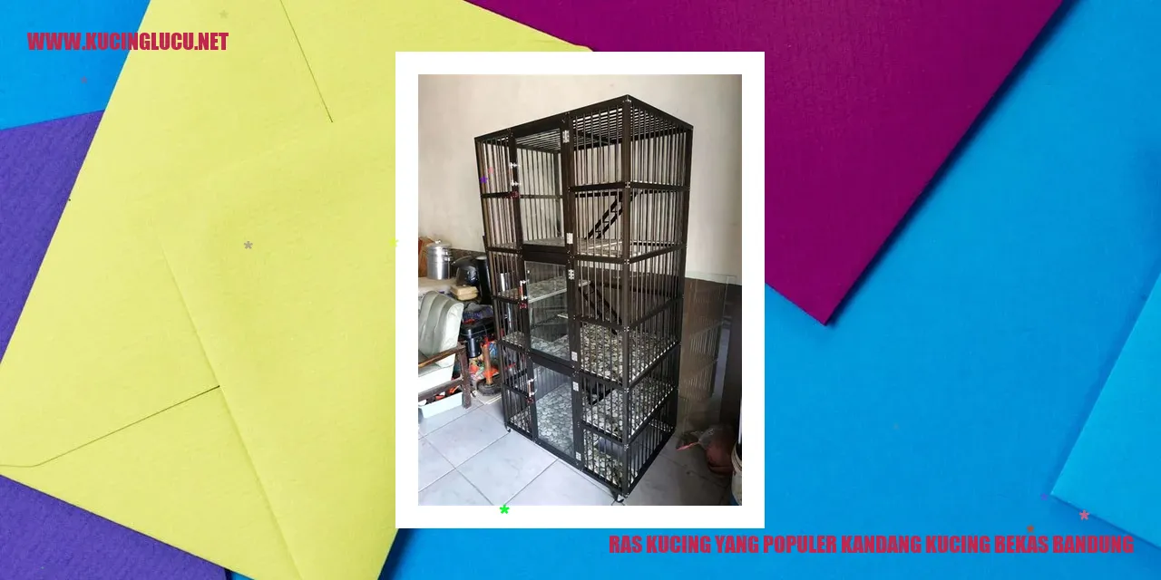 Ras Kucing yang Populer kandang kucing bekas bandung