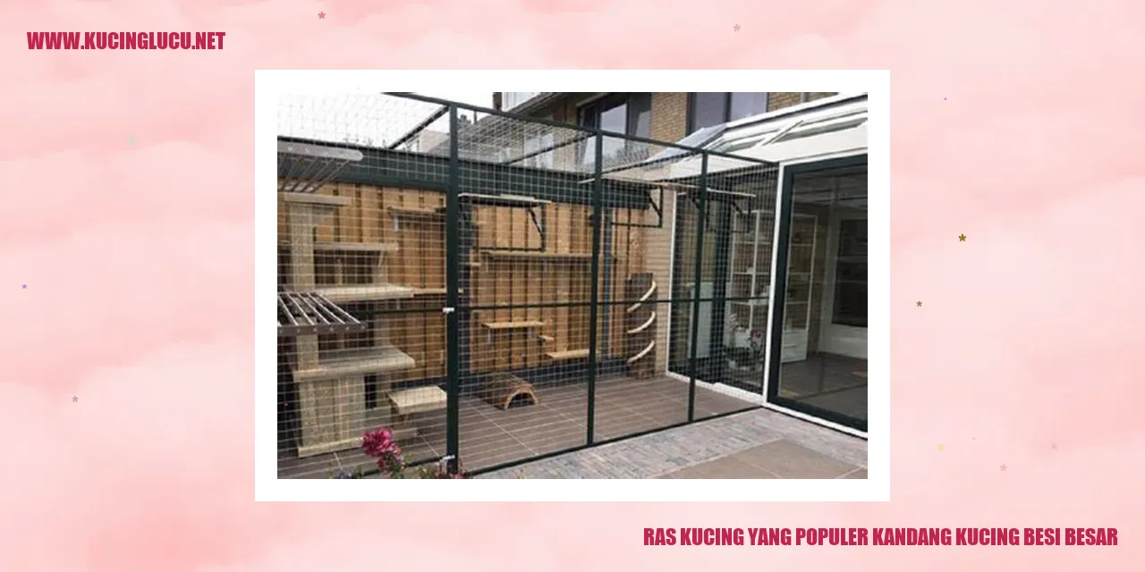 Ras Kucing yang Populer: Kandang Kucing Besar