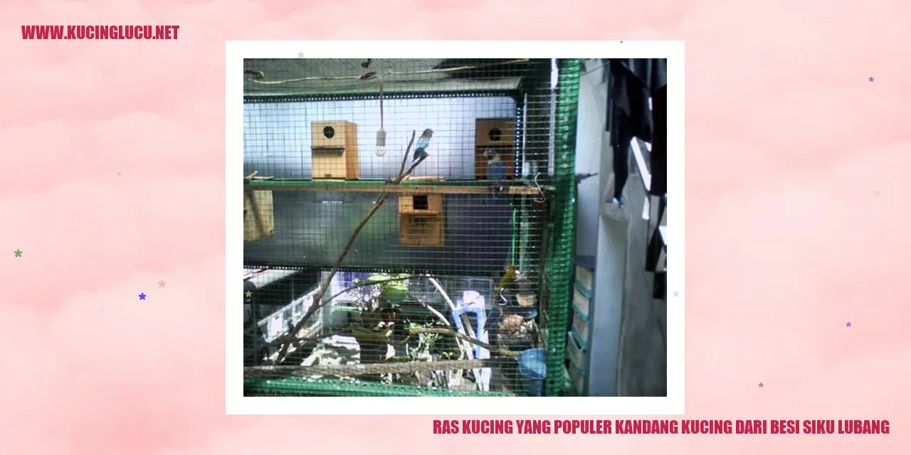 Kandang Kucing