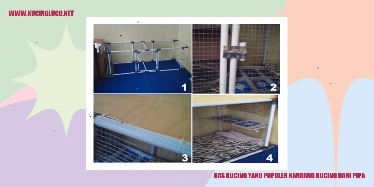 Kandang Kucing dari Pipa